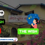 The Wish Exercise Class 11 English :Summary & QuestionAnswers