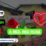 A Red, Red Rose Exercise Class 11 English